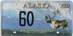 Alaska Elch
