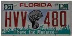 Florida Manatee